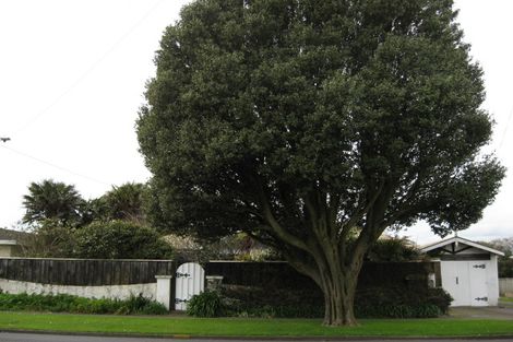 Photo of property in 33 Fitzroy Road, Fitzroy, New Plymouth, 4312