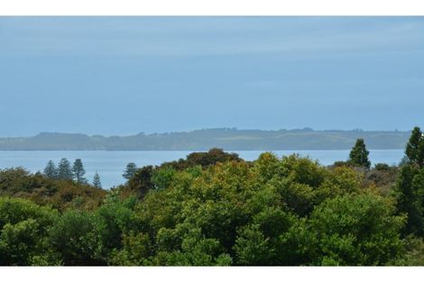 Photo of property in 33 Savoy Road, Orewa, 0931