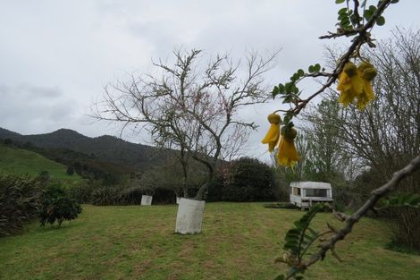 Photo of property in 494 Waitekauri Road, Waikino, Waihi, 3682