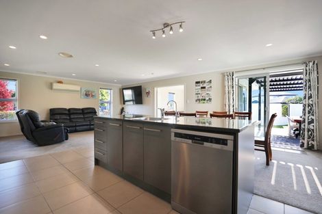 Photo of property in 3 Ludlow Drive, Huntingdon, Ashburton, 7774