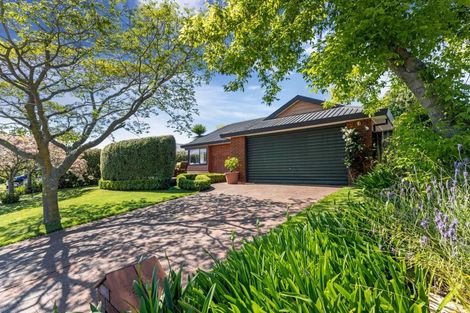 Photo of property in 7 Penlington Place, Havelock North, 4130