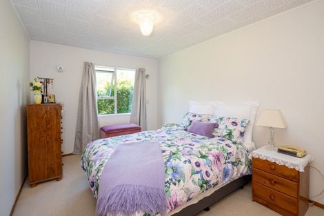 Photo of property in 466 Te Aute Road, Pakipaki, Hastings, 4172