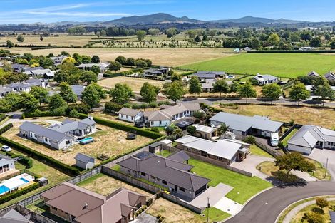 Photo of property in 26 Mckenzie Place, Matamata, 3400
