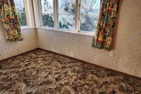 Photo of property in 48 Douglas Street, Highfield, Timaru, 7910