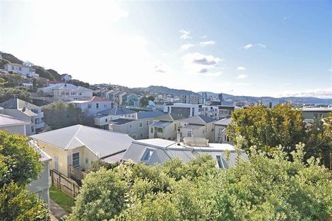 Photo of property in 10a Bidwill Street, Mount Cook, Wellington, 6021