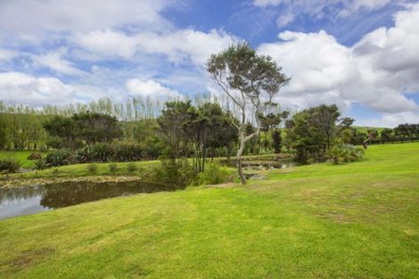 Photo of property in 132 Mangawhai Heads Road, Mangawhai Heads, Kaiwaka, 0573