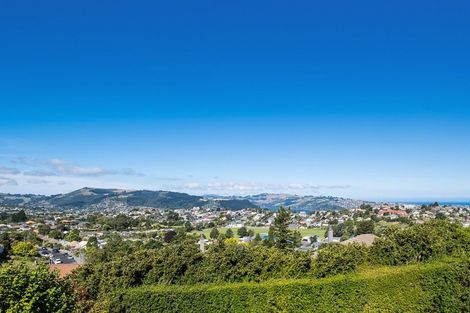 Photo of property in 20 Greenhill Avenue, Wakari, Dunedin, 9010