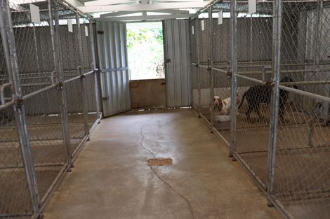 Photo of property in 280 Dixon Road, Te Akau, Ngaruawahia, 3794