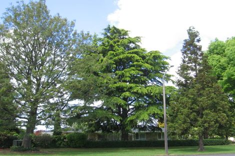 Photo of property in 4 Burwood Road, Matamata, 3400