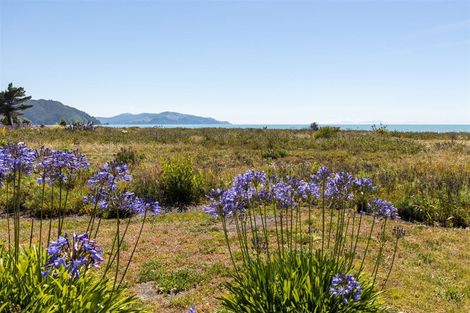 Photo of property in 64 Rarangi Beach Road, Rarangi, Blenheim, 7273