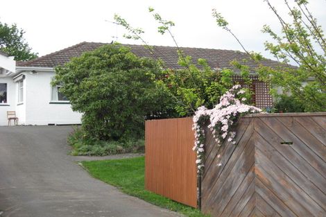 Photo of property in 88 Green Street, Tahunanui, Nelson, 7011