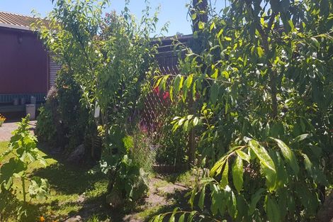 Photo of property in 44 Cobham Avenue, Dargaville, 0310