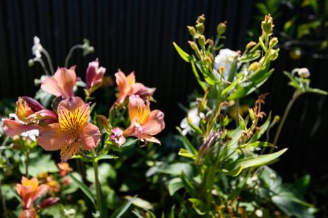 Photo of property in 7a Karamu Avenue, Takaro, Palmerston North, 4410