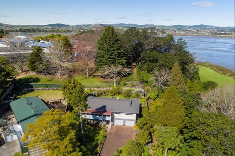 Photo of property in 236 Fraser Street, Tauranga South, Tauranga, 3112