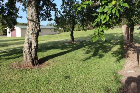 Photo of property in 217 Wairoa Road, Minden, Tauranga, 3171