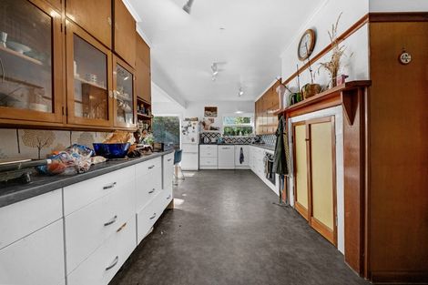 Photo of property in 117 Hutchinson Avenue, New Lynn, Auckland, 0600