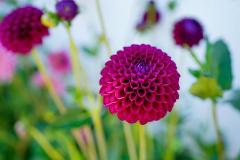 Photo of property in 71 Short Street, Richmond, Invercargill, 9810