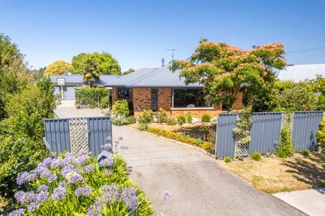 Photo of property in 43 Havelock Street, Renwick, 7204