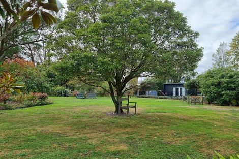 Photo of property in 38 Millard Avenue, Kuripuni, Masterton, 5810