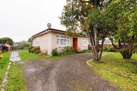 Photo of property in 31 Knowles Street, Terrace End, Palmerston North, 4410