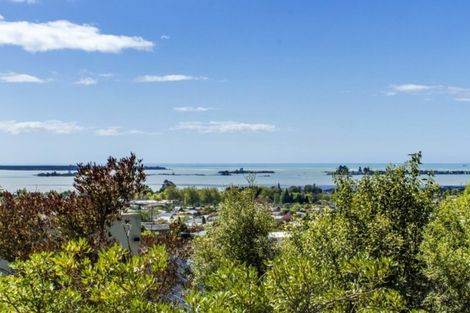 Photo of property in 28 Lodestone Road, Richmond, 7020