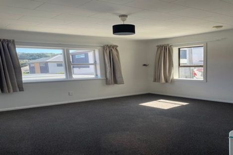 Photo of property in 185 Rintoul Street, Berhampore, Wellington, 6023