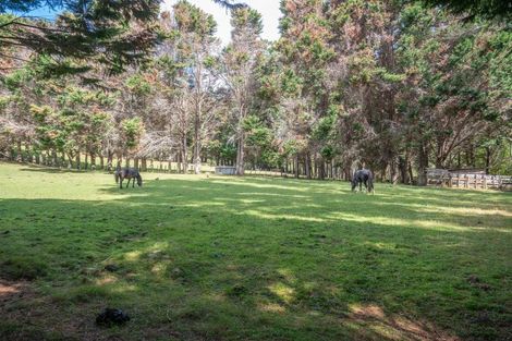 Photo of property in 697 Kohumaru Road, Mangonui, 0494
