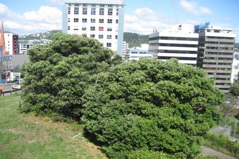 Photo of property in 2/27 Macdonald Crescent, Te Aro, Wellington, 6011