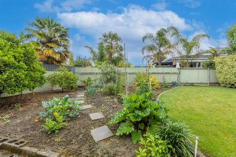Photo of property in 16 Mckeefry Avenue, Greenmeadows, Napier, 4112