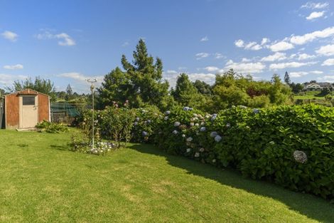 Photo of property in 87 Solomon Street, Brookfield, Tauranga, 3110