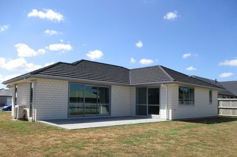 Photo of property in 17 Tiaki Way, Cambridge, 3434