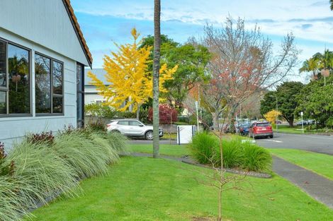 Photo of property in 19 Stout Street, Whataupoko, Gisborne, 4010