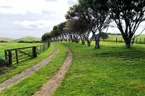 Photo of property in 1265 Babylon Coast Road, Omamari, Dargaville, 0373