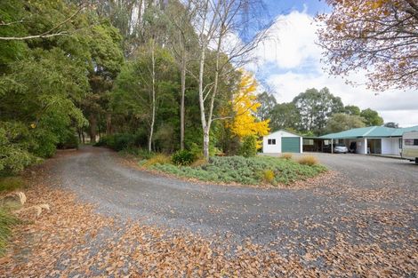 Photo of property in 1421 Pohangina Valley Road East, Pohangina, Ashhurst, 4884