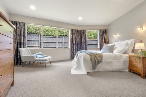 Photo of property in 14b Karetu Road, Greenlane, Auckland, 1051