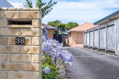 Photo of property in 38 College Drive, Paraparaumu, 5032