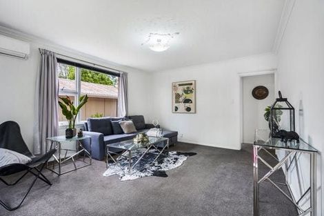 Photo of property in 10 Packe Street, Edgeware, Christchurch, 8013