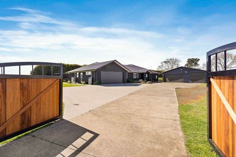 Photo of property in 142 Schlaepfer Road, Pukekohe, 2676