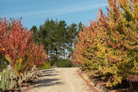 Photo of property in 25c Youngson Road, Whakamarama, Tauranga, 3180