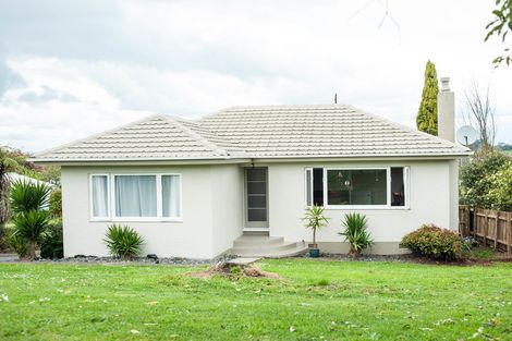 Photo of property in 205 Te Tomo Street, Te Awamutu, 3800