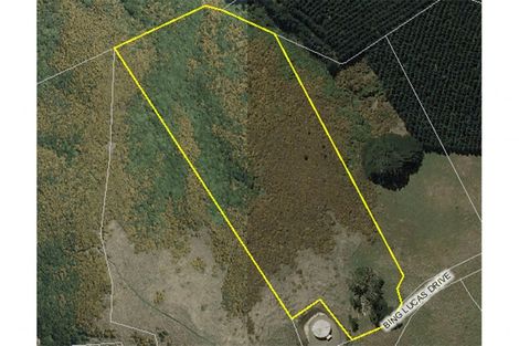 Photo of property in 201 Bing Lucas Drive, Tawa, Wellington, 5028