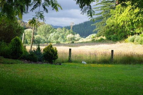 Photo of property in 46 Ruapapa Road, Frasertown, Wairoa, 4195