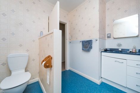 Photo of property in 476 Ruahine Street, Terrace End, Palmerston North, 4410