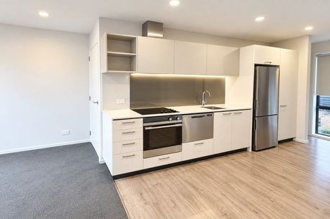 Photo of property in 3/100 Ruskin Street, Addington, Christchurch, 8024