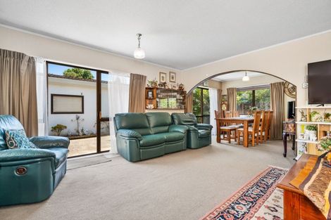 Photo of property in 55 Seventeenth Avenue, Tauranga South, Tauranga, 3112