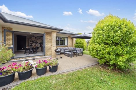 Photo of property in 16 Holford Place, Huntington, Hamilton, 3210