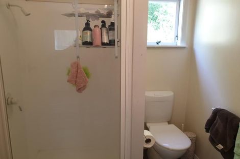 Photo of property in 94 Holloway Road, Aro Valley, Wellington, 6021