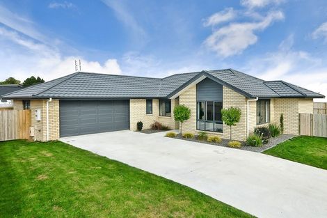 Photo of property in 57 Cumberland Drive, Flagstaff, Hamilton, 3210