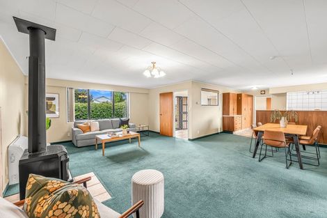 Photo of property in 36 Coutts Road, Gore, 9710