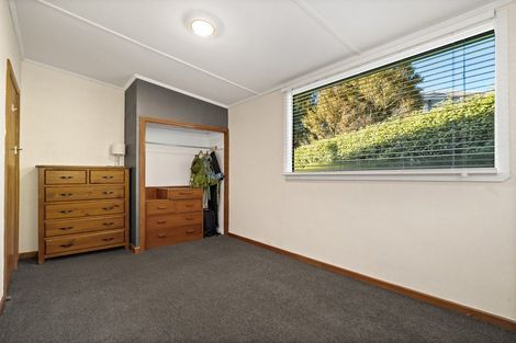 Photo of property in 163 Sidey Street, Calton Hill, Dunedin, 9012